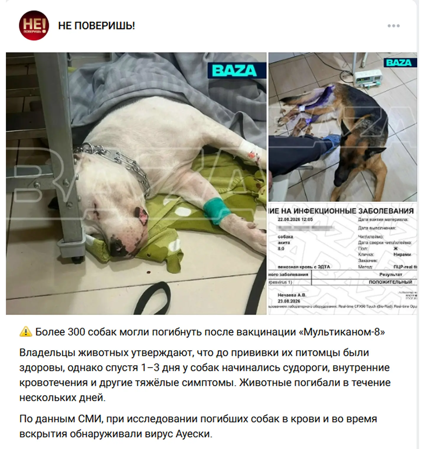 Сообщения в телеграм-каналах